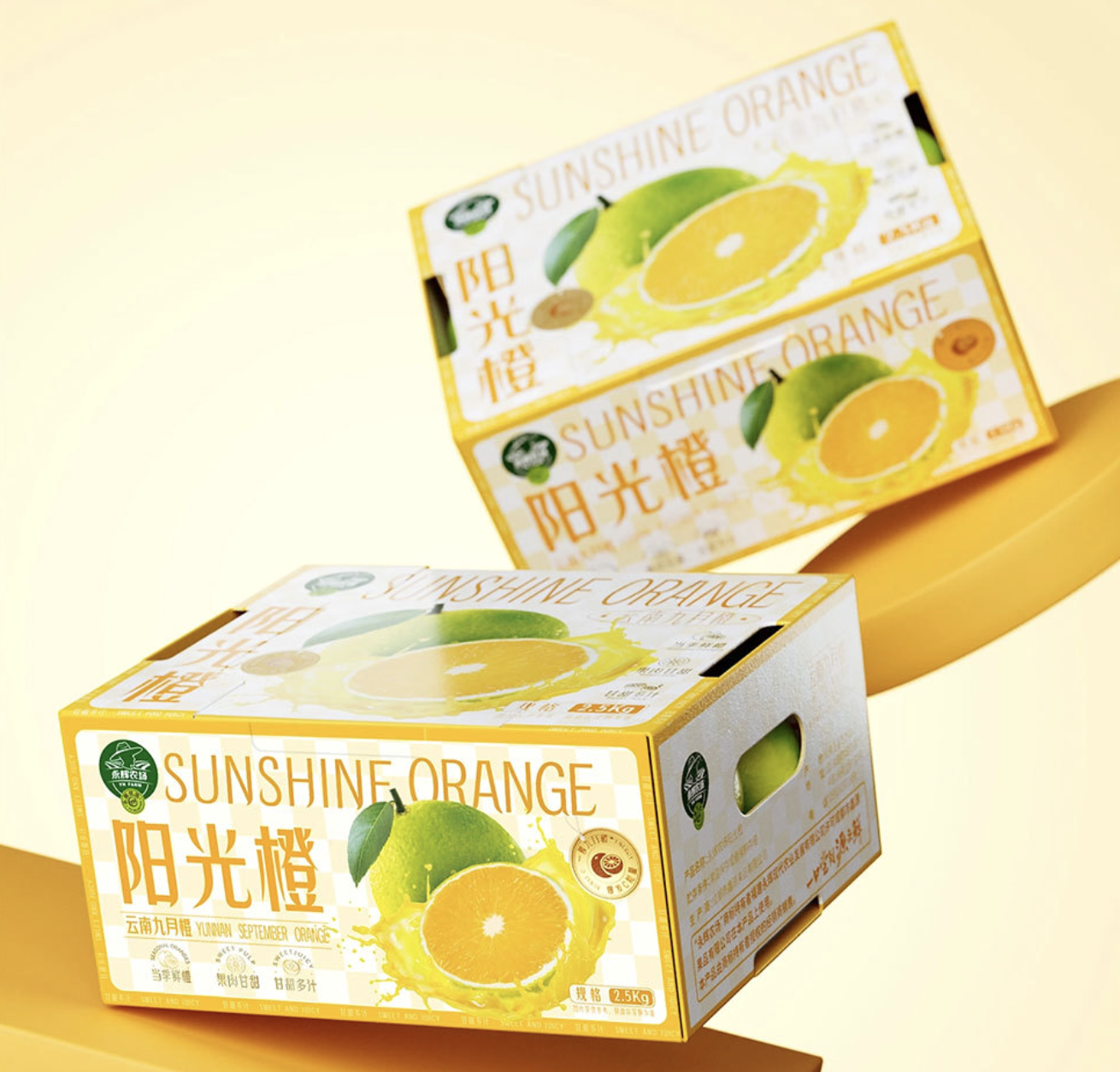 Carton Box